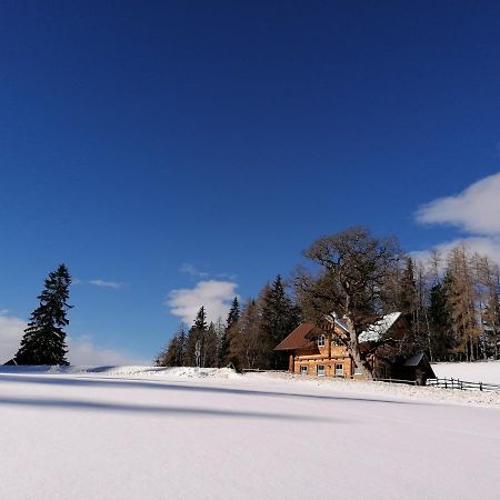 Ferienhaus Bichlhuette Pruggern Eksteriør bilde