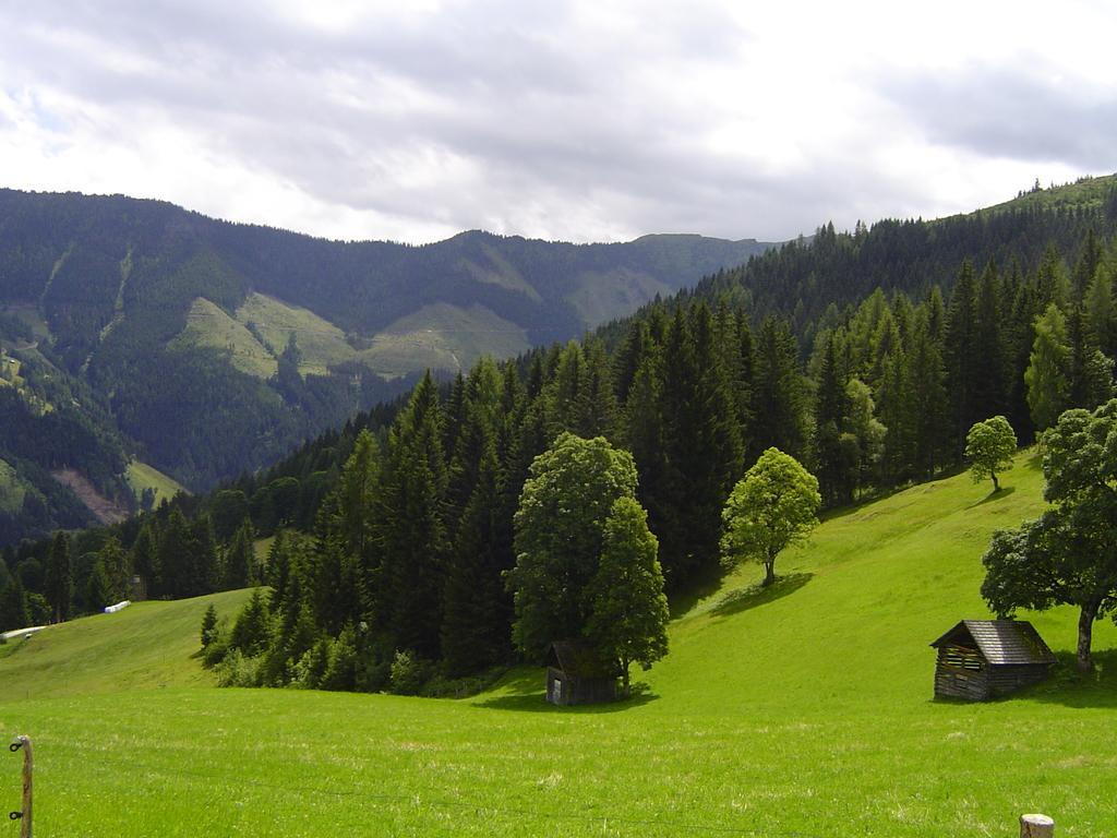 Ferienhaus Bichlhuette Pruggern Rom bilde