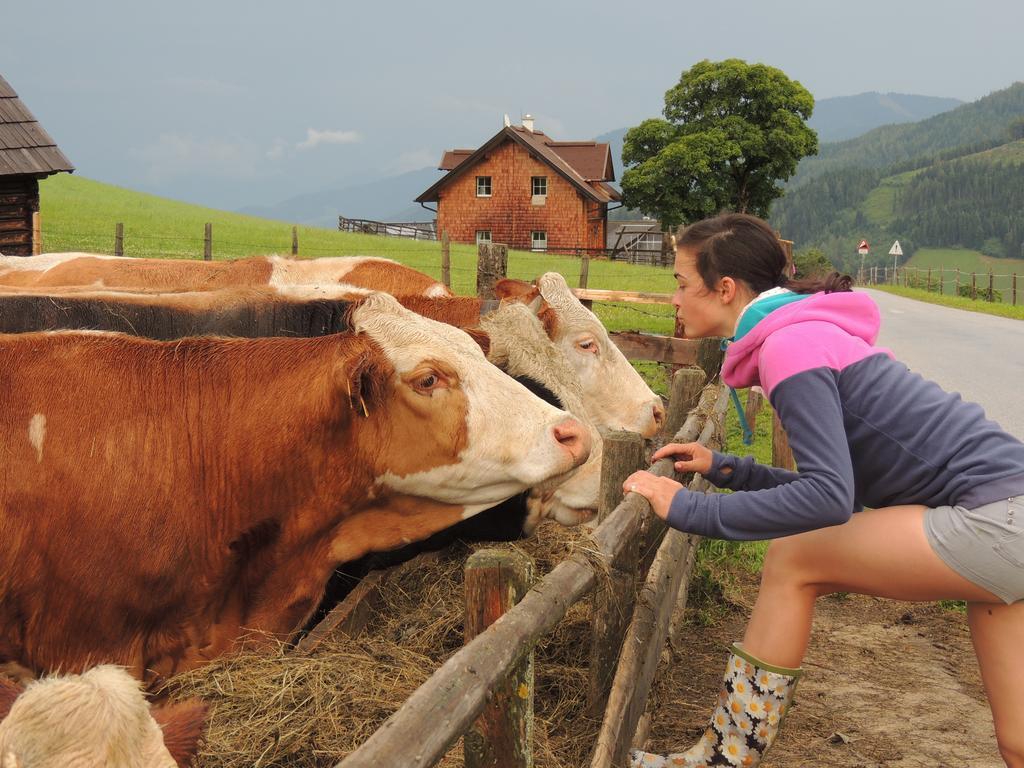 Ferienhaus Bichlhuette Pruggern Rom bilde