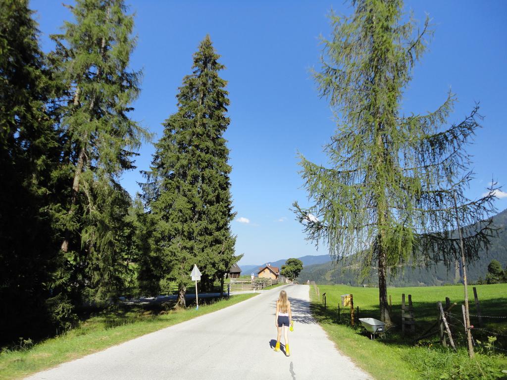 Ferienhaus Bichlhuette Pruggern Rom bilde